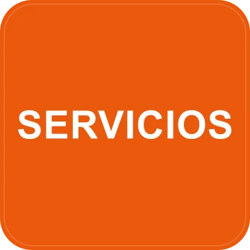 Logo Servicios Auxiliares de Envialia World